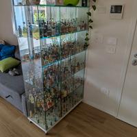 Vetrinetta / espositore