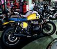 royal-enfield-bear-wild-honey-650-scrambler