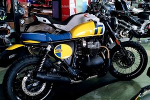 Royal Enfield Bear Wild HONEY 650 SCRAMBLER