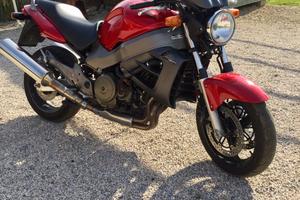Honda XX eleven 1100 136 cv
