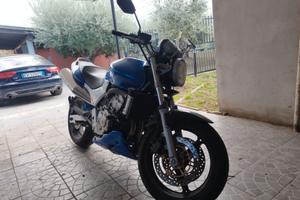 Honda Hornet 600 ASI