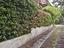 Immagine 29