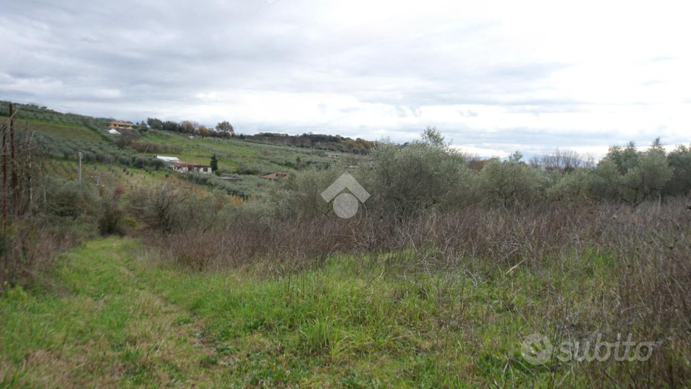 TER. AGRICOLO A MONTECORVINO PUGLIANO - Vista 4