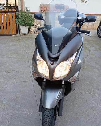 Scooter  honda