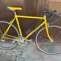 Bici da uomo corsa Vicini