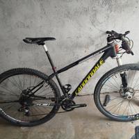 mountain bike cannondale