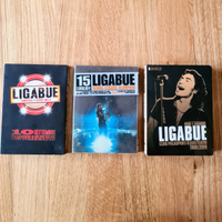 Dvd concerto ligabue