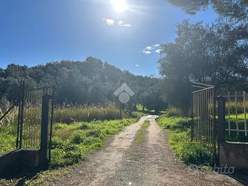 TERRENO A CORIGLIANO-ROSSANO