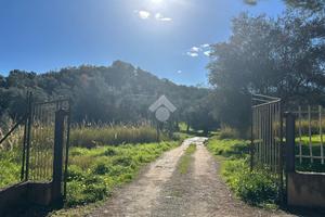 TERRENO A CORIGLIANO-ROSSANO