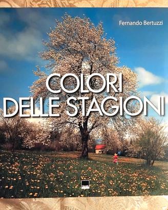 Colori delle stagioni di Fernando Bertuzzi