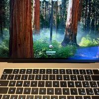 Mac book air m3 16” gold