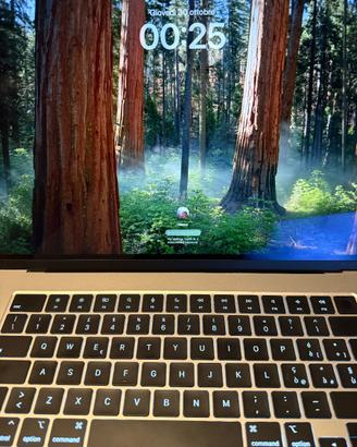 Mac book air m3 16” gold