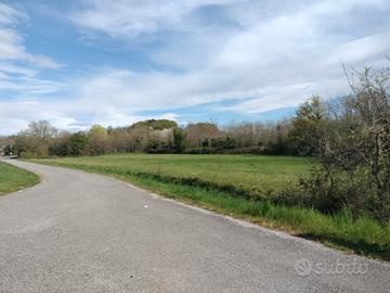 Lotti di terreno agricolo/boschivo di 11.000mq