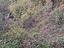 Immagine 14