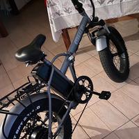 Bici elettrica