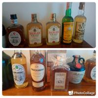 61 whisky rum cognac bourbon grappa vino champagne