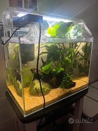 Acquario ADA COMPLETO