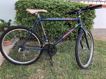 Mountain bike vintage