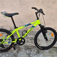 mtb  bimbo 