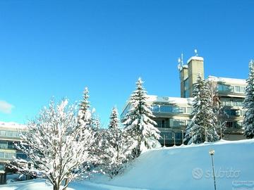 Trentino sulle piste e in estate