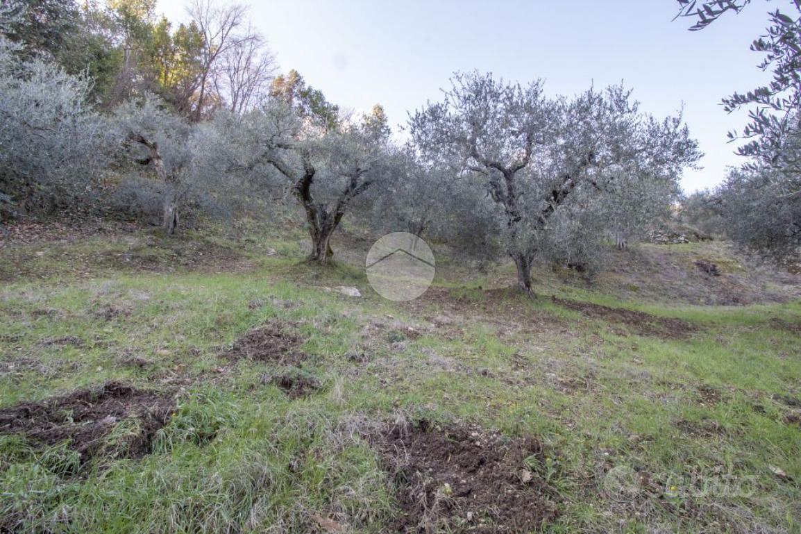 TER. AGRICOLO A PALOMBARA SABINA - Vista 4