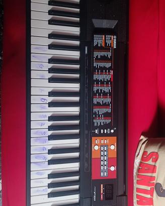 Yamaha F51 