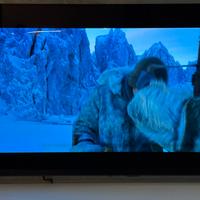 TV LG 55