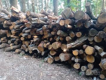 Legna di castagno