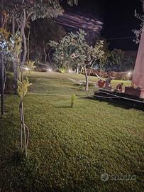 Casa bifamiliare con entrata indipendente