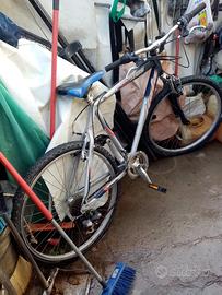  Bicicletta Montain Bike 