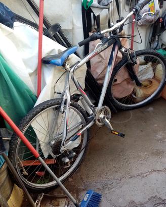  Bicicletta Montain Bike 