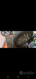 cerchi zip fast rider