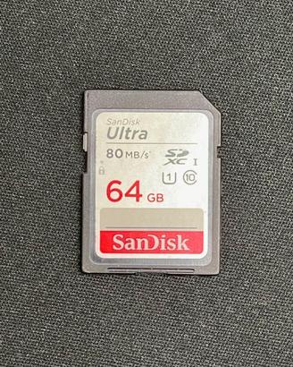 Sandisk scheda SD 64GB