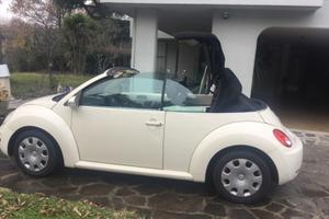 New beetle
