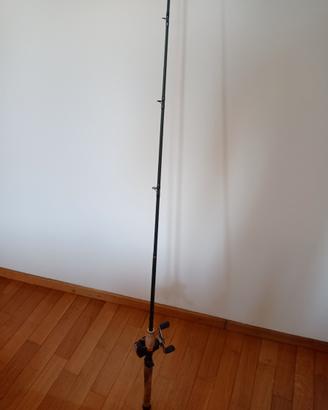 Canna casting