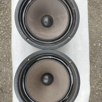 SANSUI W 126 Coppia di Woofer da 10" 25 Cm