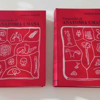 A Bairati Compendio di Anatomia  2vol Minerva 1977