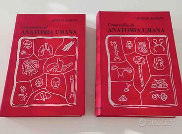 A Bairati Compendio di Anatomia  2vol Minerva 1977