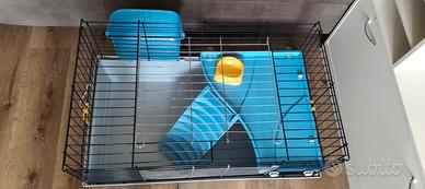 gabbia per coniglio nano