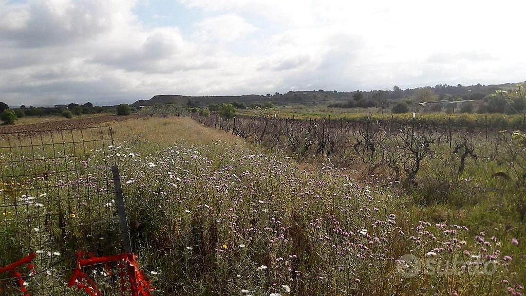 Is Ammostus, Terreno regolare fronte strada - Vista 3