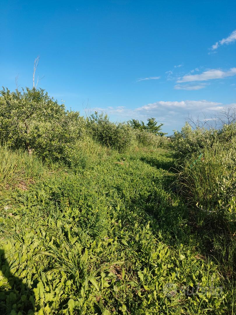 Terreno agricolo - View 2