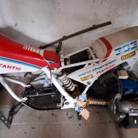 fantic 303