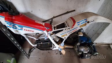 fantic 303