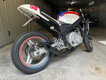 Cbr 600 f 1987 caffè racer