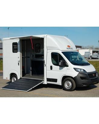 Van Trasporto Cavalli Pat B