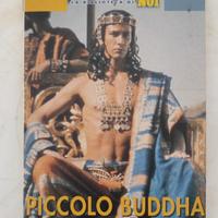  Piccolo Buddha