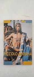  Piccolo Buddha