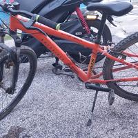 Bicicletta MTB