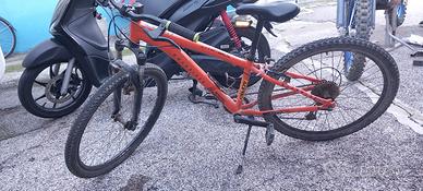 Bicicletta MTB