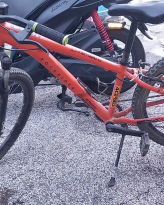 Bicicletta MTB